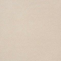 F Schumacher Stingray Champagne 75200 Relaxed Glamour Collection Indoor Upholstery Fabric