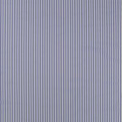 Duralee Baltic DW16301-392 Pavilion Indoor/Outdoor Portico Stripes and Solids Collection Upholstery Fabric