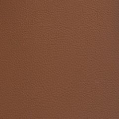 Aura Retreat Caramel SCL-112ADF Upholstery Fabric