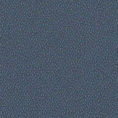 Sunbrella Reef Wave REE J315 140 Marine Decorative Collection Upholstery Fabric