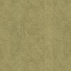 Kravet Baci Moondust 31871-11 by Candice Olson Indoor Upholstery Fabric