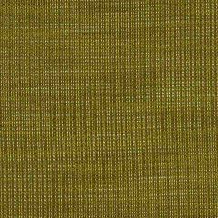 Robert Allen Contract Meah Kiwi 194376 Indoor Upholstery Fabric