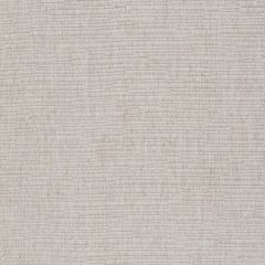 Robert Allen Happy Hour Zinc 247109 Ribbed Textures Collection Indoor Upholstery Fabric