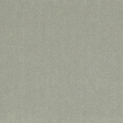 Duralee Clover 36293-575 Decor Fabric