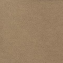 Kravet Matter Beige 1611 Indoor Upholstery Fabric