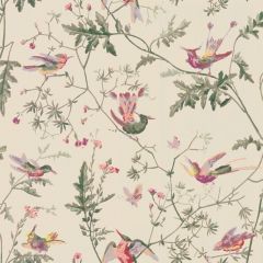 Cole and Son Hummingbirds Original / Multi 100-14071 Archive Anthology Collection Wall Covering