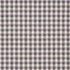 F Schumacher Checkmate Graphite 73432 Happy Together Collection Indoor Upholstery Fabric