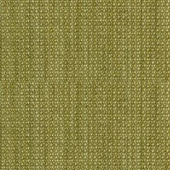 Kravet Smart Green 31151-3 Indoor Upholstery Fabric