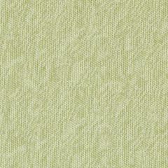Duralee Celadon 32811-24 Decor Fabric