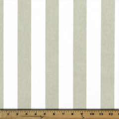 Premier Prints Canopy French Grey Premier Basics Collection Multipurpose Fabric