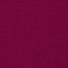 Robert Allen Happy Hour Beet 247095 Drenched Color Collection