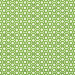 F Schumacher Queen B Green 177075 Prints by Studio Bon Collection Upholstery Fabric