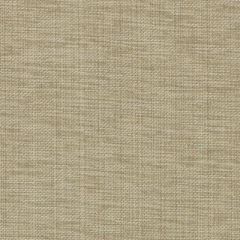 Duralee Rattan 32819-519 Decor Fabric