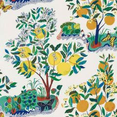 F Schumacher Citrus Garden Primary 177330 Indoor / Outdoor Prints and Wovens Collection Upholstery Fabric