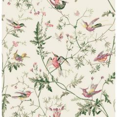 Cole and Son Hummingbirds Cotton Print Classic Multi 621001 Contemporary Fabrics Collection Multipurpose Fabric