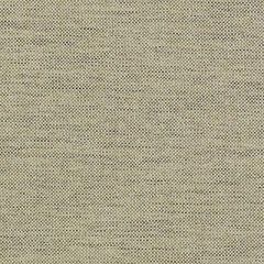 Duralee Artichoke 36263-210 Decor Fabric