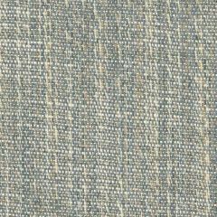 Perennials Stree-Yay! Platinum 942-207 Kidding Around Collection Upholstery Fabric