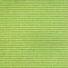 Tempotest Home Donatello Lime 50963/3 Strutture Collection Upholstery Fabric