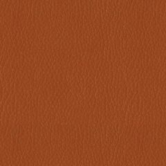ABBEYSHEA Premier 44 Pumkin Spice Indoor Upholstery Fabric