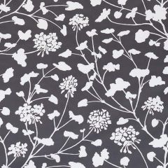 F Schumacher Pennick Chintz Black 178541 Step Lively Collection Indoor Upholstery Fabric