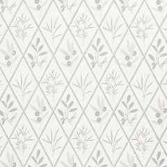 F Schumacher Endimione Grey 177642 by Charlap Hyman and Herrero Indoor Upholstery Fabric