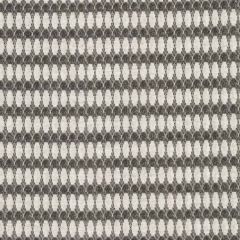 Robert Allen Puffy Path-Chalkboard 232759 Decor Upholstery Fabric