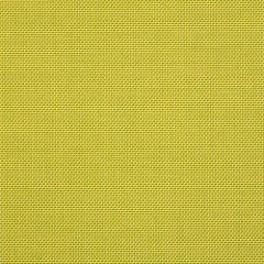 Sunbrella Spotlight Citron 15000-0008 Shift Collection Upholstery Fabric