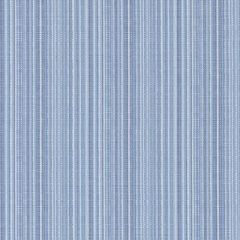 Duralee Blueberry 36285-99 Decor Fabric