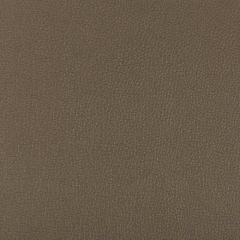 Kravet Contract Syrus Porcini 606 Indoor Upholstery Fabric