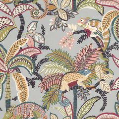 Thibaut Iggy Desert F81675 Locale Collection Upholstery Fabric
