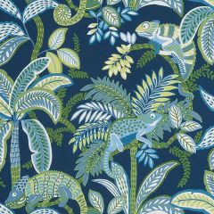 Thibaut Iggy Coastal F81677 Locale Collection Upholstery Fabric