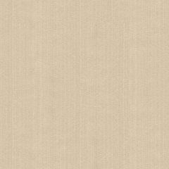 Kravet Contract Strie Velvet 33353-1 Guaranteed in Stock Indoor Upholstery Fabric