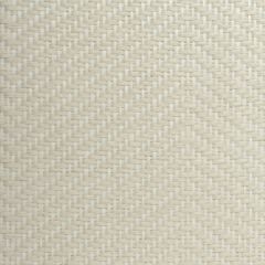 Winfield Thybony Paperweave WT WBG5118 Wall Covering