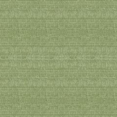 Kravet Smart Green 34191-3 Opulent Chenille Collection Indoor Upholstery Fabric
