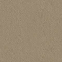 ABBEYSHEA Turner 3948 Taupe Indoor Upholstery Fabric