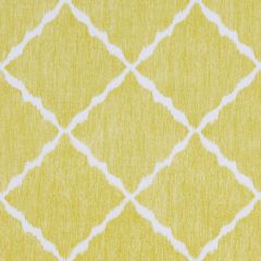 Kravet Ikat Stripe Sunshine 40 Sarah Richardson Harmony Collection Multipurpose Fabric