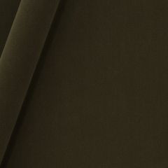 Robert Allen Forever Velvet Chocolate 245476 Durable Velvets Collection Indoor Upholstery Fabric