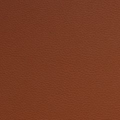 Aura Retreat Apricot SCL-223 Upholstery Fabric