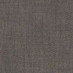Perennials Rough 'n Rowdy Pumice 955-208 Beyond the Bend Collection Upholstery Fabric