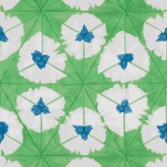 Thibaut Sunburst Emerald Green F913088 Summer House Collection Multipurpose Fabric