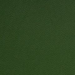 Aura Retreat Treetop SCL-210 Upholstery Fabric