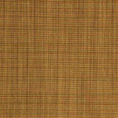 Robert Allen Windsor Way Zest 221013 Color Library Collection Indoor Upholstery Fabric