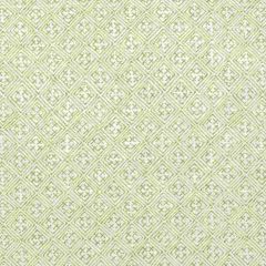 Thibaut Laos Spring Green F972615 Chestnut Hill Collection Multipurpose Fabric