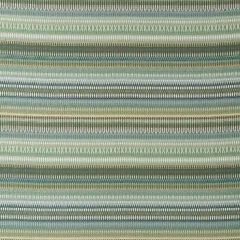 Robert Allen Alpenglow Moss 256288 Enchanting Color Collection Indoor Upholstery Fabric
