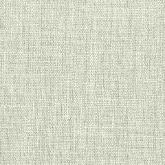 Stout Fizzle Smoke 1 Naturals II Collection Multipurpose Fabric
