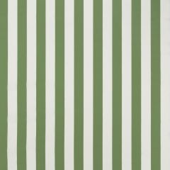 Duralee Green DW16298-2 Pavilion Indoor/Outdoor Portico Stripes and Solids Collection Upholstery Fabric