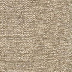 Robert Allen Single Strands-Shale 225245 Decor Upholstery Fabric