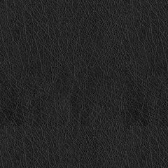 ABBEYSHEA Abilene 9009 Black Indoor Upholstery Fabric