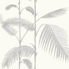 Cole and Son Palm Grey / White 95-1008 Contemporary Restyled Collection Wall Covering