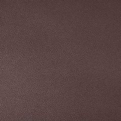 Kravet Contract Syrus Plum 1010 Indoor Upholstery Fabric